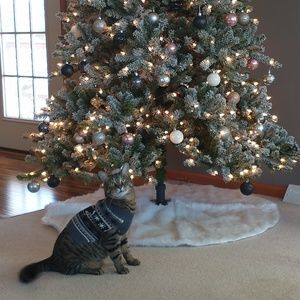 Meet your Posher, Kyle